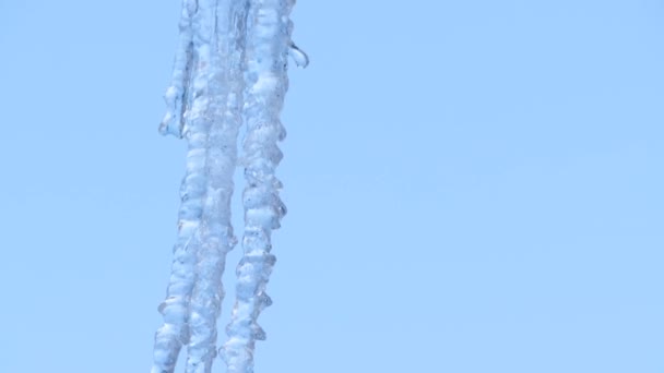 氷解するか 寒い冬に鍾乳石の超遅い動き 水の滴がゆっくりと落ちている コンセプト 凍えるような寒さ 氷の融解 地球温暖化 — ストック動画