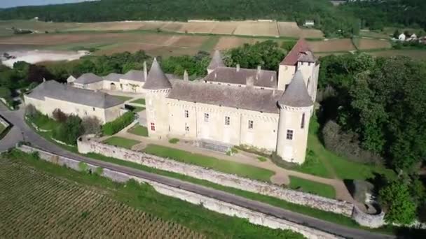 Widok Lotu Ptaka Chateau Rully Winnicami Burgundii Francja Koncepcja Podróże — Wideo stockowe