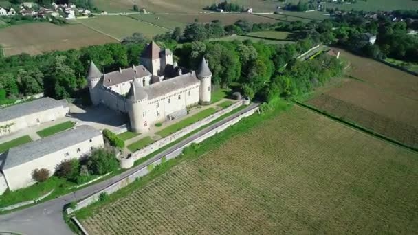 Vista Aérea Del Castillo Rully Con Viñedos Borgoña Francia Concepto — Vídeo de stock