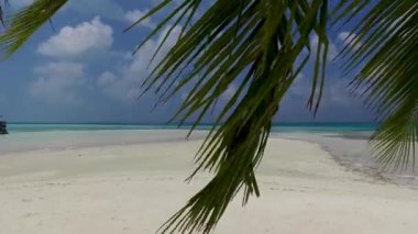 Maldivler 'de güzel bir adada hindistan cevizli palmiye ağacı. Konsept: Cennette balayı, tropikal ada, rüya gibi tatiller, seyahat acentası gizli video veya arka plan.