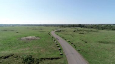 İsveç 'teki Oland Adası' ndaki Borgholm Kalesi. Avrupa Mirası. Çarpık yolu takip eden bir grup motosiklet