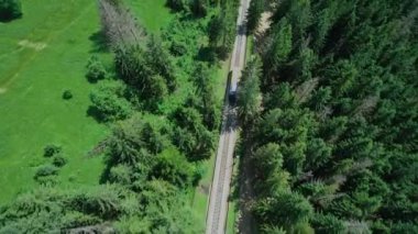 Dağlarda, ağaçların arasında, orman havası manzaralı demiryolu. Yaz sezonunda manzara. Polonya Tatra dağlarında turistik bir yer. Dar ölçü demiryolu
