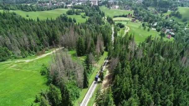 높이의 케이블 하늘의 나무들 동안의 풍경이다 폴란드의 타트라 산에서 관광객들의 — 비디오