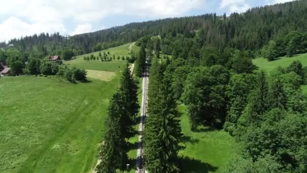 山の中でケーブル鉄道高 森林空撮の木の間 夏のシーズン中の景色 ポーランドタトラ山脈の観光名所 狭軌鉄道 — ストック動画