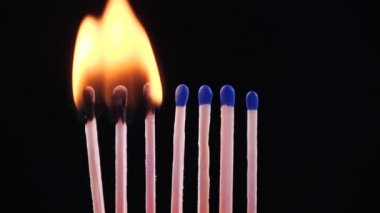 Kibritler birbirlerinden ateşlendi. Kavram: Salgın mekanizmasının yayılması, salgının durdurulması, domino etkisi, Coronavirus, COVID-19 izole yanık kibritleri.
