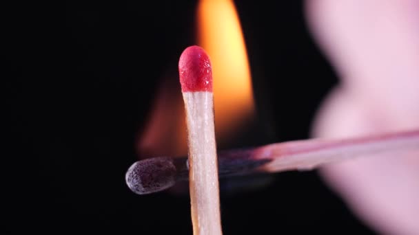 Vue aérienne panoramique d'Amsterdam aux Pays-Bas, en Europe. Vue sur le canal et le vieux quartier du centre. Lieux célèbres et architecture hollandaise typique à Amsterdam dans de belles couleurs chaudes 