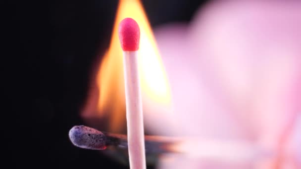 Macro Footage 50Fps Close Igniting Match Using Another Match Isolated — Stock Video