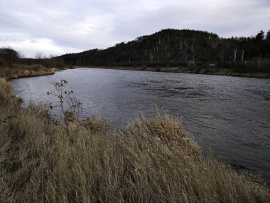 Rez kasabası yakınlarındaki Vltava Nehri