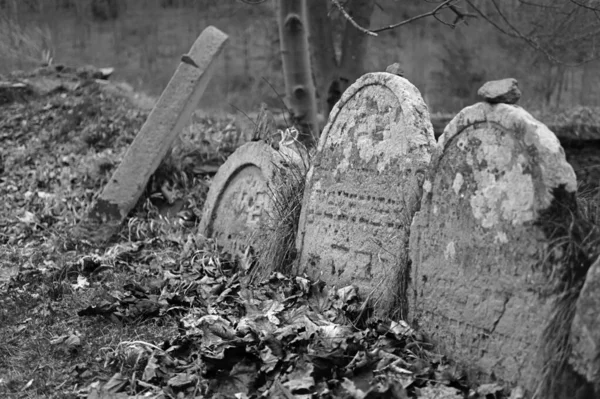 Надгробия Еврейском Кладбище — стоковое фото