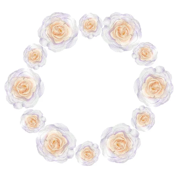 Okrągła Rama Kremowych Róż Akwarelowych Białym Tle Element Kwiatowy Zapisania — Zdjęcie stockowe