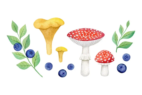 Watercolor Set Colorful Mushrooms Berries Isolated White Background Hand Drawn — Stock Photo, Image