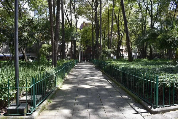 Άποψη Πεζόδρομου Πάρκο Στο Κέντρο Της Colonia Roma Οκτωβρίου 2019 — Φωτογραφία Αρχείου