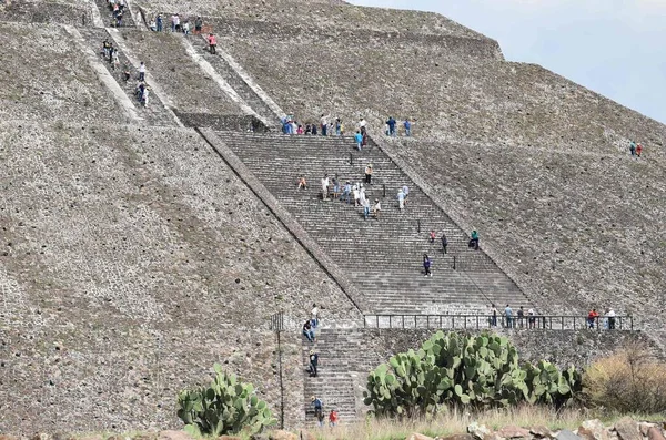 Planta Pera Espinhosa Acompanha Subida Por Escadas Turistas Para Pirâmide — Fotografia de Stock