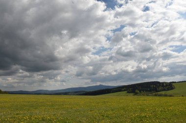 Kuzey Bohemya 'da ilkbahar