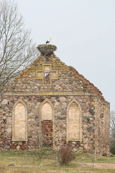 Bociany Gniazdują Starych Kamiennych Murach Pozostałości Kościoła — Zdjęcie stockowe