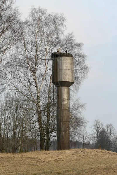 Stork Birds Nest Old Steel Water Tower — Stock Photo, Image