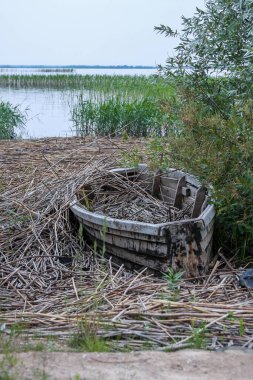Bir gölün yanında terk edilmiş pipetlerle dolu eski bir kereste kayığı.