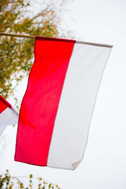 11.2019 Kielce Polonya - Polonya bayrağı rüzgarda savruluyor. Polonya bayrağı 