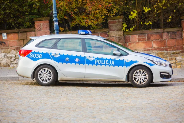 2019 ポーランド警察 ポーランドの警察 独立記念日中のポーランドの警察 道路脇の道路脇の警察官だ 警察のサイン — ストック写真