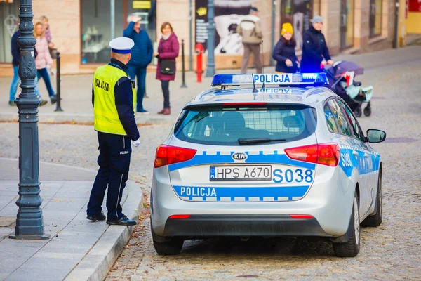 2019 ポーランド警察 ポーランドの警察 独立記念日中のポーランドの警察 道路脇の道路脇の警察官だ 警察のサイン — ストック写真