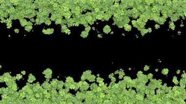 Büyüyen yonca geçişi. Ekranı yeşil yapraklar kaplıyor. Alfa matte ile ot yetiştirme animasyonu. Merkeze dikey geçiş.