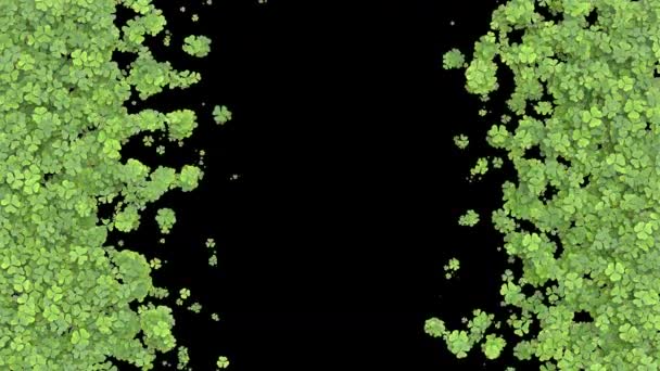 成長しているクローバーの移行 画面を覆う緑の葉 アルファマットで成長している草のアニメーション 横中心への移行 — ストック動画