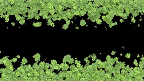Transition croissante des trèfles. Feuilles vertes couvrant l'écran. Animation en herbe avec alpha mat. Transition vers le centre verticalement .