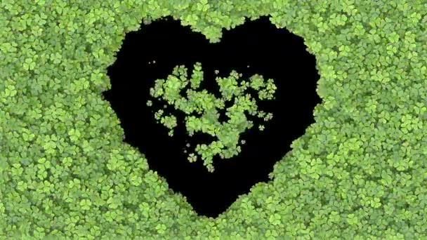 Wachsender Klee Übergang Grüne Blätter Bedecken Den Bildschirm Wachsende Gras — Stockvideo