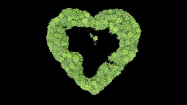 Büyüyen yonca geçişi. Ekranı yeşil yapraklar kaplıyor. Alfa matte ile ot yetiştirme animasyonu. Kalp şeklinde bir geçiş..