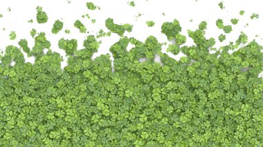 Beyaz arka planda ekranı kaplayan yeşil yonca. 3d oluşturma.