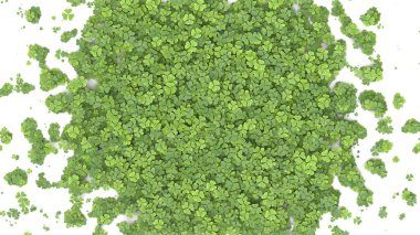 Beyaz arka planda ekranı kaplayan yeşil yonca. 3d oluşturma.