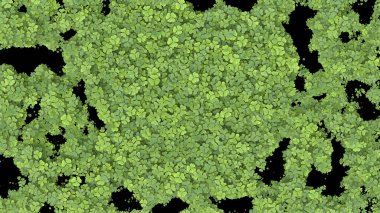 Siyah arka planda kalp şeklinde ekranı kaplayan yeşil yonca. 3d oluşturma.