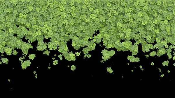 Zielona Koniczyna Zasłaniająca Ekran Czarnym Tle Renderowanie — Zdjęcie stockowe