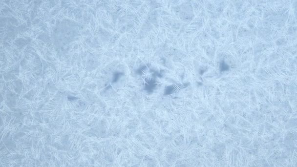 Gel de glace Animation de l'écran avec Alpha. Motifs givrés sur le verre. Rendu 3D .