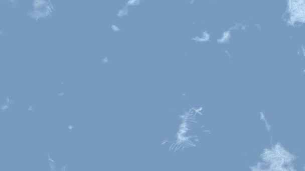 Ice Freezing Animation Screen Alpha Англійською Заморожені Візерунки Склі Рендерінг — стокове відео