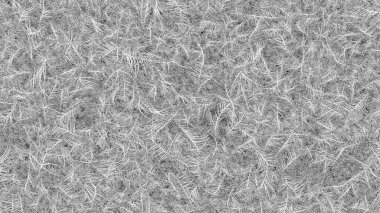 Tamamen kaplanmış donmuş çerçeve. Camda donmuş desenler var. 3d Hazırlama.