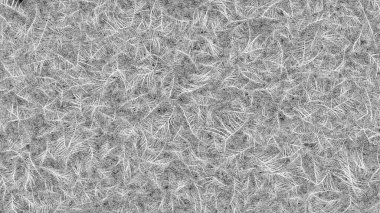 Tamamen kaplanmış donmuş çerçeve. Camda donmuş desenler var. 3d Hazırlama.