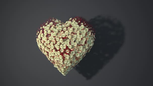 Animation Des Weißen Herzens Blumen Anbauen Alpha Kanal Rendering — Stockvideo