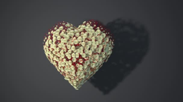 Animazione Del Cuore Bianco Fiori Che Crescono Alpha Channel Rendering — Video Stock