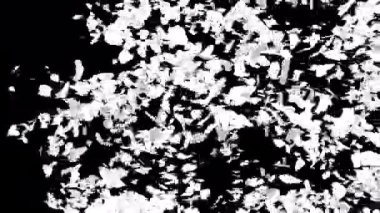 Alfa 'yla geçiş başlıyor. 3B görüntüleme.