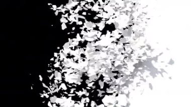 Alfa 'yla geçiş başlıyor. 3B görüntüleme.