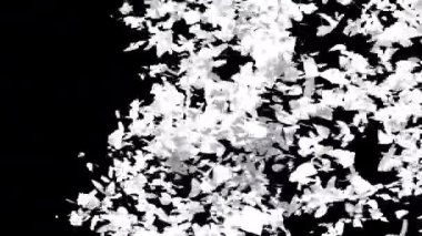 Alfa 'yla geçiş başlıyor. 3B görüntüleme.