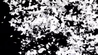 Alfa 'yla geçiş başlıyor. 3B görüntüleme.