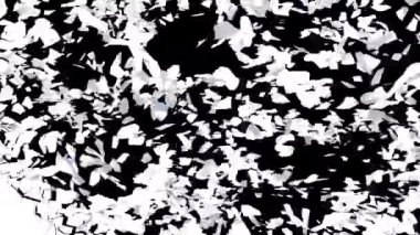 Alfa 'yla geçiş başlıyor. 3B görüntüleme.