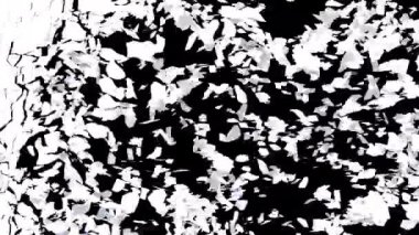 Alfa 'yla geçiş başlıyor. 3B görüntüleme.