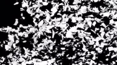 Alfa 'yla geçiş başlıyor. 3B görüntüleme.