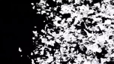 Alfa 'yla geçiş başlıyor. 3B görüntüleme.