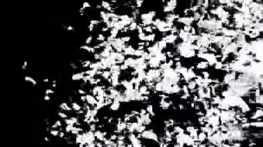 Alfa 'yla geçiş başlıyor. 3B görüntüleme.