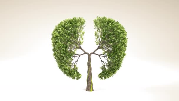 Lungs Earth Árbol Crecimiento Forma Pulmones Eco Concepto Salvar Mundo — Vídeos de Stock