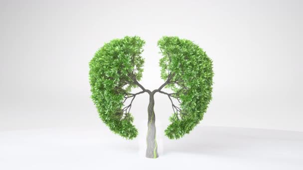 地球の肺 肺の形をした成長している木 エココンセプト 世界を救うんだ 3Dレンダリング — ストック動画